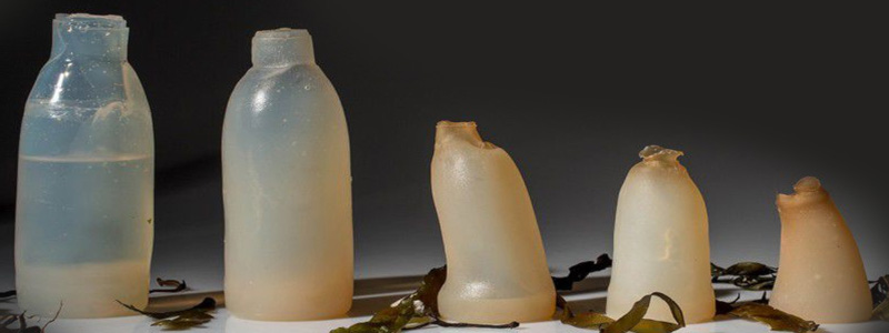 саморазлагающиеся бутылки из водорослей